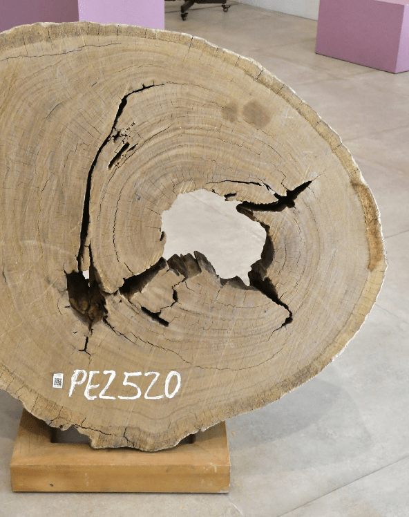 O pensar, o fazer e a matéria